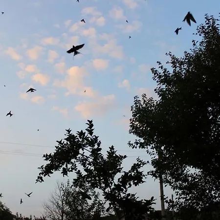 Rustic House Prima Priori بيت للعطل *