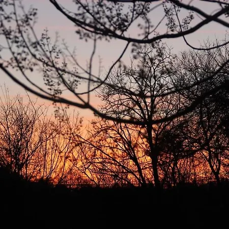 Rustic House Prima Priori Vaklino