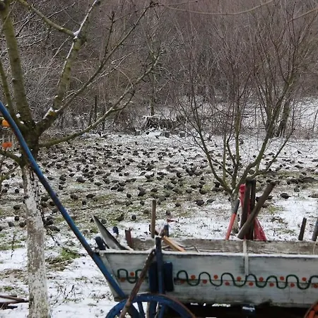 بيت للعطل Rustic House Prima Priori