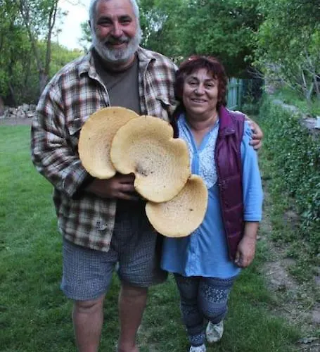 Rustic House Prima Priori * Vaklino