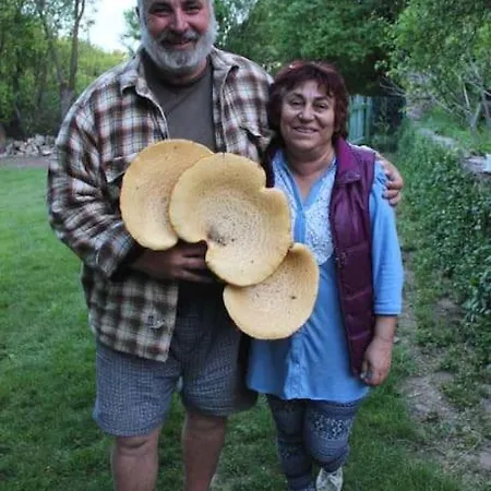 Rustic House Prima Priori * Vaklino