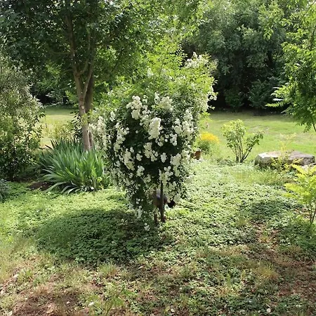 펜션 Rustic House Prima Priori