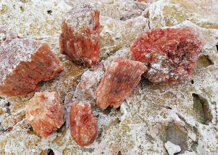 Rustic House Prima Priori Semesterbostad