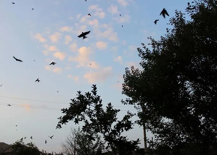 Rustic House Prima Priori Semesterbostad *