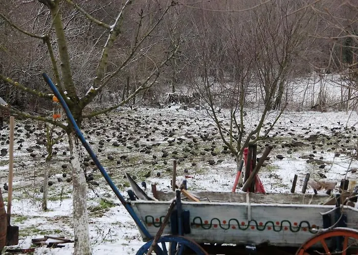 Semesterbostad Rustic House Prima Priori